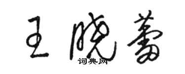 駱恆光王曉蕾草書個性簽名怎么寫