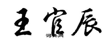 胡問遂王官辰行書個性簽名怎么寫