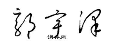 梁錦英郭宇澤草書個性簽名怎么寫