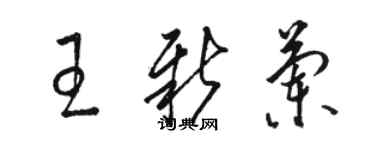 駱恆光王新蘭草書個性簽名怎么寫