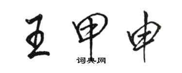 駱恆光王甲申行書個性簽名怎么寫