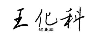 王正良王化科行書個性簽名怎么寫