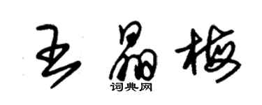 朱錫榮王晶梅草書個性簽名怎么寫