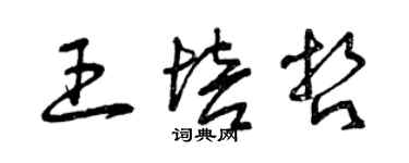 曾慶福王培哲草書個性簽名怎么寫