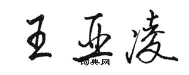 駱恆光王亞凌行書個性簽名怎么寫