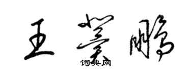 梁錦英王冀鵬草書個性簽名怎么寫