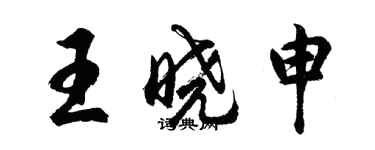 胡問遂王曉申行書個性簽名怎么寫