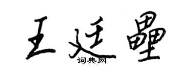 王正良王廷壘行書個性簽名怎么寫