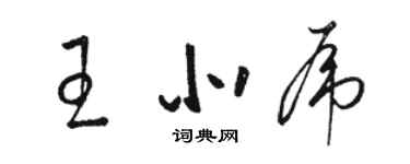 駱恆光王北虎草書個性簽名怎么寫