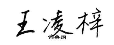 王正良王凌梓行書個性簽名怎么寫