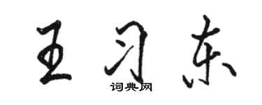 駱恆光王習東行書個性簽名怎么寫