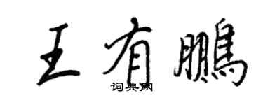 王正良王有鵬行書個性簽名怎么寫