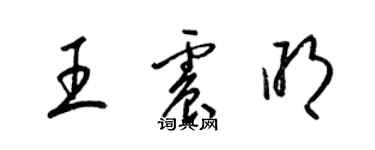 梁錦英王震明草書個性簽名怎么寫