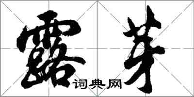 胡問遂露芽行書怎么寫