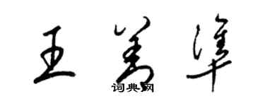 梁錦英王善準草書個性簽名怎么寫