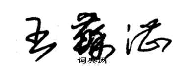 朱錫榮王蘇湛草書個性簽名怎么寫