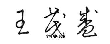 駱恆光王茂盛草書個性簽名怎么寫