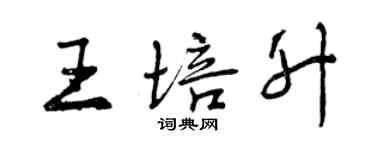 曾慶福王培升行書個性簽名怎么寫