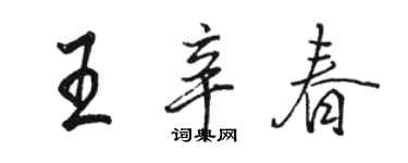 駱恆光王辛春行書個性簽名怎么寫