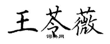 丁謙王苓薇楷書個性簽名怎么寫