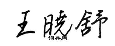 王正良王曉舒行書個性簽名怎么寫