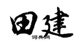 胡問遂田建行書個性簽名怎么寫