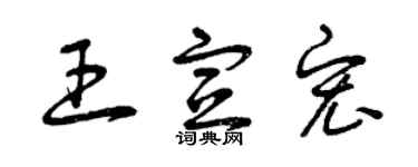 曾慶福王宣宏草書個性簽名怎么寫