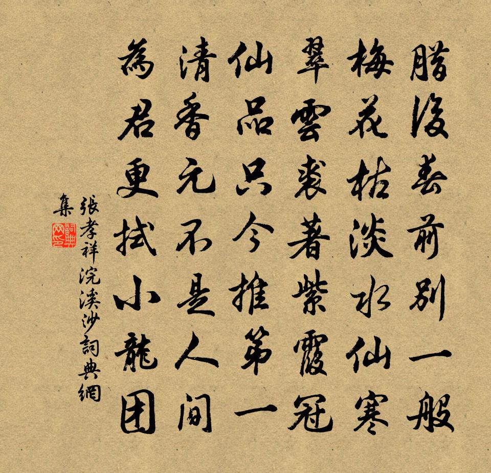 張孝祥浣溪沙書法作品欣賞