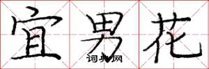 龐中華宜男花楷書怎么寫