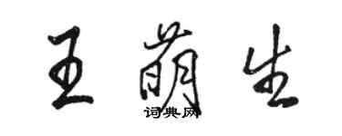 駱恆光王萌生行書個性簽名怎么寫