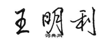 駱恆光王明利行書個性簽名怎么寫