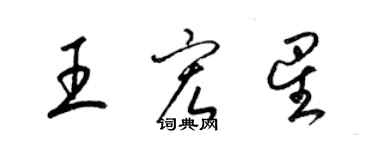梁錦英王宏星草書個性簽名怎么寫