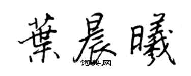 王正良葉晨曦行書個性簽名怎么寫