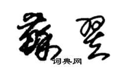 朱錫榮蘇翌草書個性簽名怎么寫