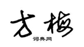朱錫榮方梅草書個性簽名怎么寫