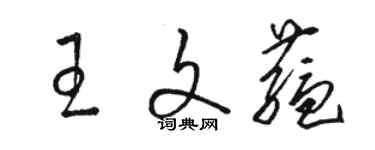 駱恆光王文蘊草書個性簽名怎么寫