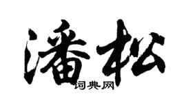 胡問遂潘松行書個性簽名怎么寫