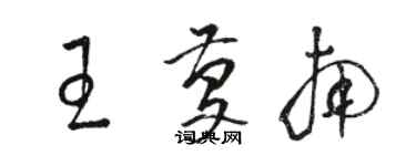 駱恆光王慶南草書個性簽名怎么寫