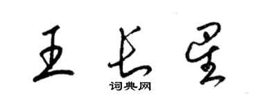 梁錦英王長星草書個性簽名怎么寫