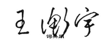 駱恆光王衡宇草書個性簽名怎么寫