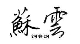 王正良蘇雲行書個性簽名怎么寫