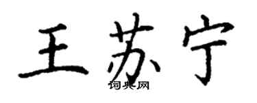 丁謙王蘇寧楷書個性簽名怎么寫