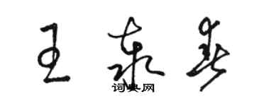 駱恆光王泰春草書個性簽名怎么寫