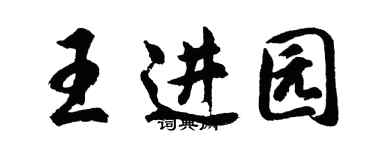 胡問遂王進園行書個性簽名怎么寫
