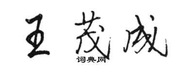 駱恆光王茂成行書個性簽名怎么寫