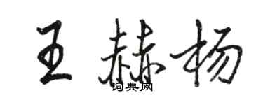 駱恆光王赫楊行書個性簽名怎么寫