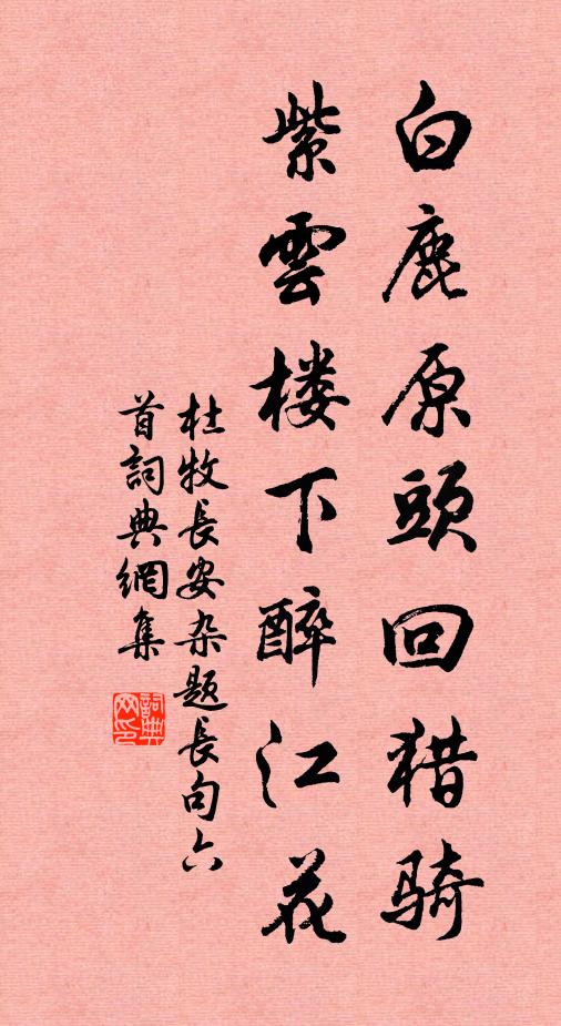 驚定心猶碎，悲來小獨傾 詩詞名句