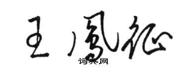 駱恆光王鳳征草書個性簽名怎么寫
