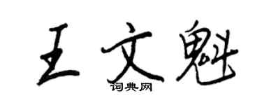 王正良王文魁行書個性簽名怎么寫