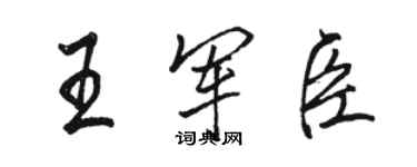 駱恆光王軍臣行書個性簽名怎么寫